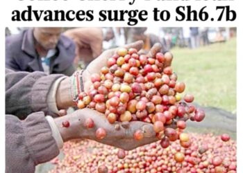 The Transformative Power of Kenya’s Ongoing Coffee Policies Expected to Boost Farmers’ Return