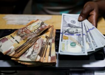 Kenyan Shilling Marginally Eases against the Dollar as Economy Shows Resilience