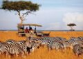 Kenya: A Premier Tourist Destination and Economic Powerhouse