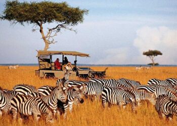 Kenya: A Premier Tourist Destination and Economic Powerhouse