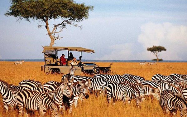 Kenya: A Premier Tourist Destination and Economic Powerhouse