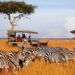 Kenya: A Premier Tourist Destination and Economic Powerhouse