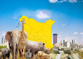 Kenya Economic Outlook: Recent Macroeconomic and Financial Developments