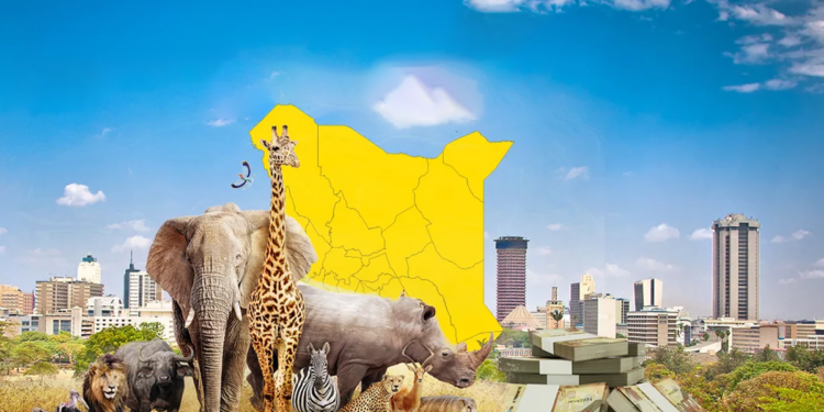 Kenya Economic Outlook: Recent Macroeconomic and Financial Developments