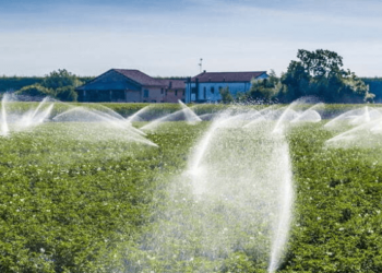 Kenyan Government Launches A Sh598 Billion 10-Year Plan Irrigation Investment Plan To Boost Food Security