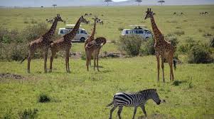 Kenya Revealed To Target 10 Million Domestic Tourists In 2025 As Tourism Industry’s Growth Gains Momentum