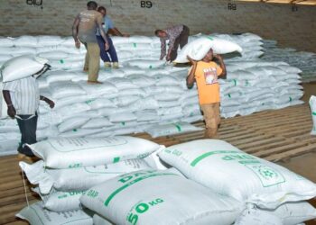 Kenya Government Boosts Food Security with Timely Subsidized Fertilizer Distribution to Farmers