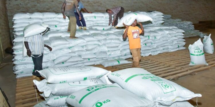 Kenya Government Boosts Food Security with Timely Subsidized Fertilizer Distribution to Farmers