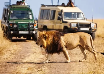 Kenya Eyes 3 Million Tourists in 2025 as Government Interventions Spark Tourism Boom