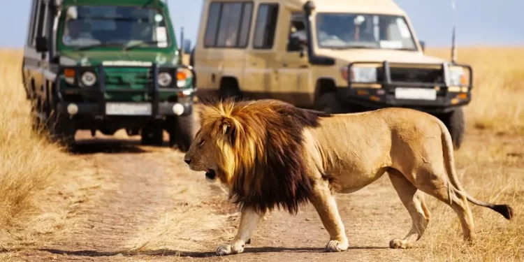 Kenya Eyes 3 Million Tourists in 2025 as Government Interventions Spark Tourism Boom