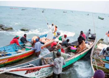 Kenyan Government Pushes Sh3 Billion Investment to Revive Lake Victoria Fisheries and Boost Local Incomes