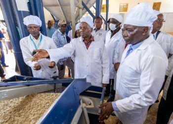 DP Kindiki Hails Success of Kenya Kwanza’s Agriculture Transformation Programmes
