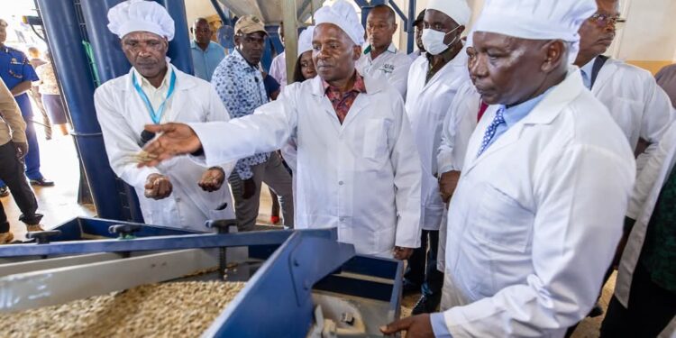 DP Kindiki Hails Success of Kenya Kwanza’s Agriculture Transformation Programmes