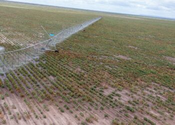 President Ruto Champions Galana Kulalu Mega Project as Cornerstone of Kenya’s Food Security Agenda