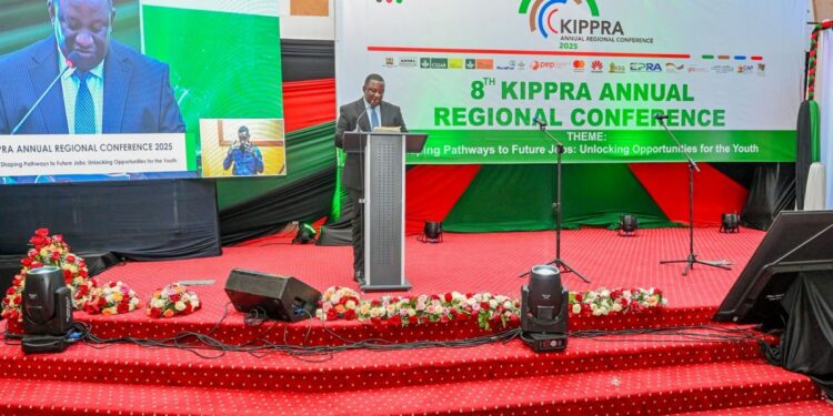 Ruto’s Administration Rolls Out NYOTA Programme to Empower Over 800,000 Vulnerable Youth Across 47 Counties