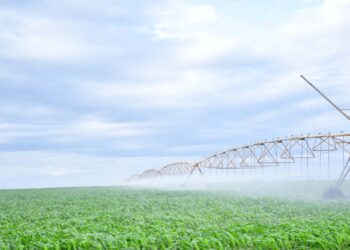 Galana Kulalu Project Marks Turning Point in Kenya’s Agricultural Transformation