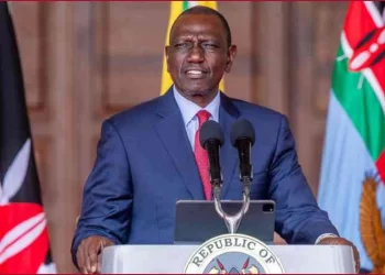 President Ruto Reaffirms Government Commitment to Fight Against Youth Unemployment with Job-Creation Programs