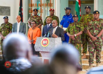 Interior Ministry Orders Crackdown on Gun Smuggling Syndicates