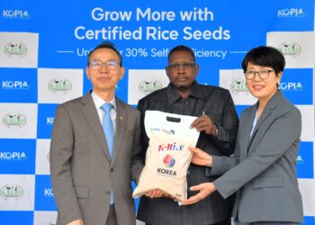 Kenya and Korea Launch Sh645 Million Partnership to Boost Rice Seed Production