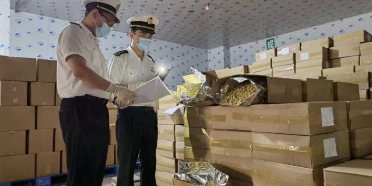 Kenya Exports 54 Tons of Macadamia Nuts to Hunan, China, in Boost for Farmers