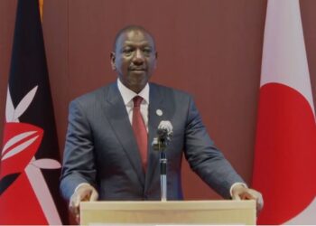 President Ruto Pushes Japan To Ease Trade Barriers And Hails Sh26bn Boost To Kenya In 2024