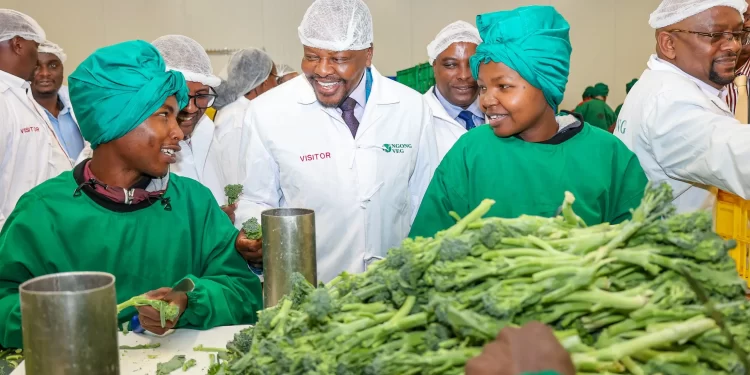 Kenya Seeks Direct Market Access for Agricultural Goods to Boost Farmer Earnings