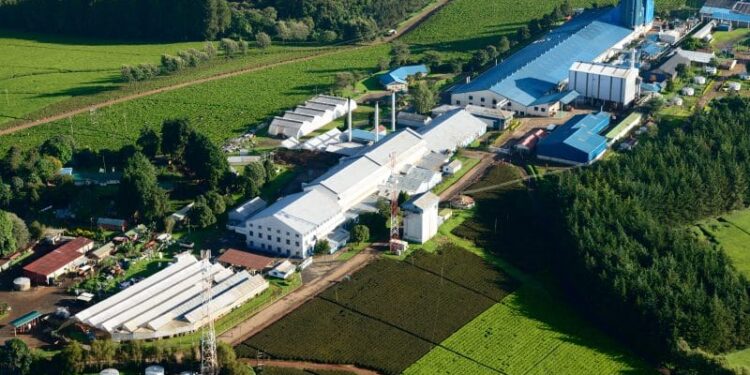 Kenya Woos U.S. Firms to Package Tea Locally, Farmers Set for Higher Returns