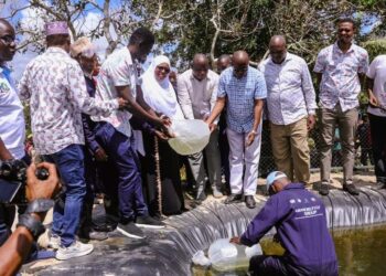 Sh10 Billion Aquaculture Revolution Set To Turn Kwale Into Kenya’s Blue Economy Powerhouse
