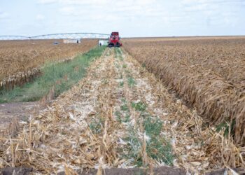 Galana Kulalu Revival: Kenya Makes Major Strides Toward Food Security Under Ruto’s Administration