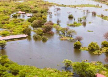 Kenya Secures Major €9 Million Boost to Restore Lake Baringo Watershed and Drive Green Growth