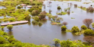 Kenya Secures Major €9 Million Boost to Restore Lake Baringo Watershed and Drive Green Growth
