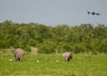 Kenya To Host Global Conservation Tech And Drone Forum; Turning Conservation Technology Into A Tourism And Security Asset