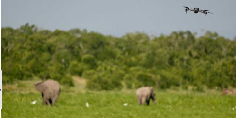 Kenya To Host Global Conservation Tech And Drone Forum; Turning Conservation Technology Into A Tourism And Security Asset