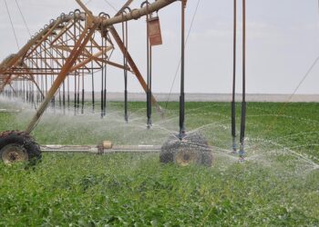 Kenya Gazettes Galana Kulalu As SEZ Marking New Phase In Country’s High-Intensity Food Security Strategy