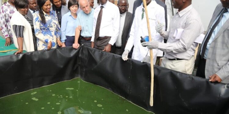 Israel Pledges Strategic Support to Transform Kenya’s Agriculture Sector