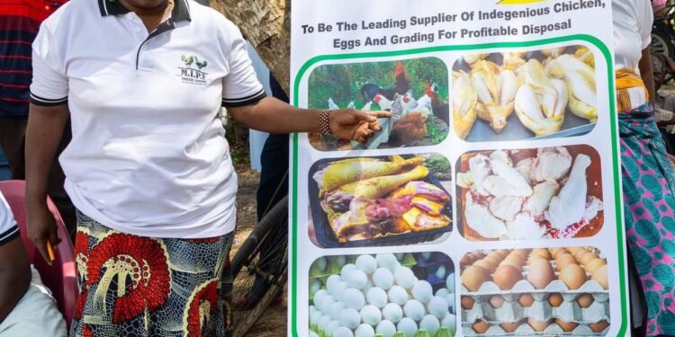 Kenya Rolled Out Solar Milk Cooling And New Livestock Development Interventions To Unlock Lamu’s Rural Economy