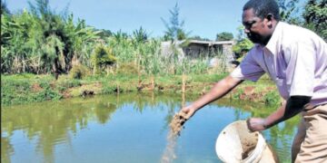 Uasin Gishu Bets Big on Irrigation Revolution with 23,000 Farm Ponds Plan