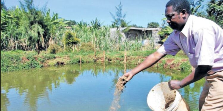 Uasin Gishu Bets Big on Irrigation Revolution with 23,000 Farm Ponds Plan
