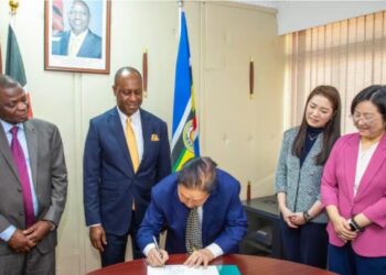 Kenya Bets Big on Juncao Technology to Solve Feed Crisis and Boost Livestock Output