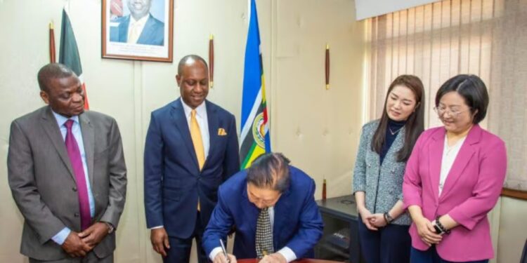 Kenya Bets Big on Juncao Technology to Solve Feed Crisis and Boost Livestock Output