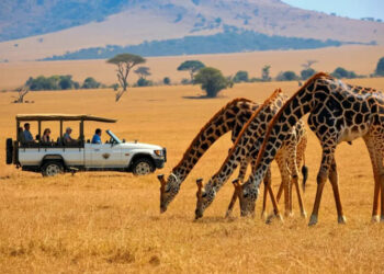 Chinese Tourist Arrivals to Kenya Hit 100,000, Signal Economic Boom for Country’s Tourism Sector