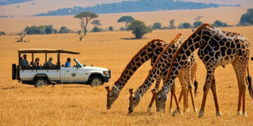 Chinese Tourist Arrivals to Kenya Hit 100,000, Signal Economic Boom for Country’s Tourism Sector