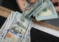 Kenya’s Forex Reserves Hit Record $14 Billion as Shilling Remains Stable and Resilient