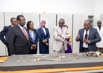 Kenya To Build Human Origins Museum In Turkana And Repatriate 32,000 Heritage Artefacts
