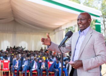 President William Ruto” Government to Lower Cost of Fertiliser, Seeds to Cushion Farmers