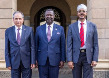 Kenya, Türkiye Deepen Strategic Ties as Trade, Investment and Security Take Centre Stage