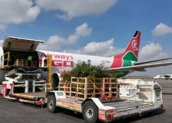 Kenya Airways Unveils MRO City And 60-Plane Fleet Plan In Major Aviation Expansion