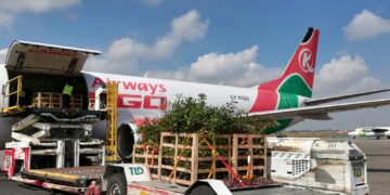 Kenya Airways Unveils MRO City And 60-Plane Fleet Plan In Major Aviation Expansion