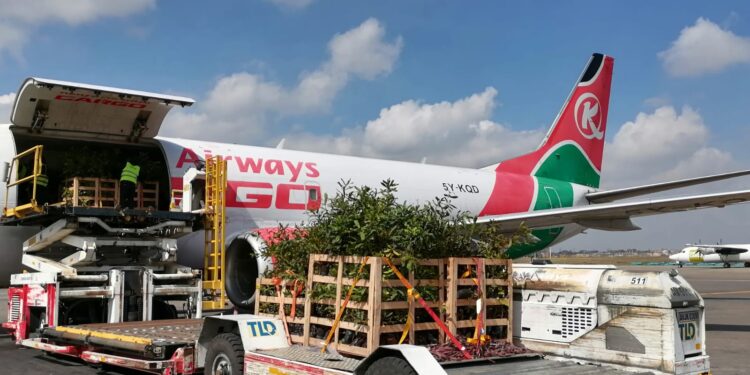 Kenya Airways Unveils MRO City And 60-Plane Fleet Plan In Major Aviation Expansion