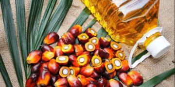 Kenya To Establish A $100 Million Palm Oil Processing Plant At Witu Nyangoro Ranch In Lamu